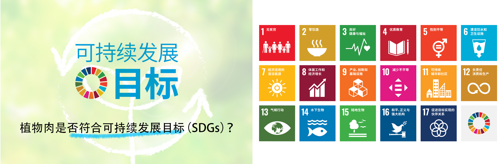 植物肉是否符合可持续发展目标 (SDGS)？