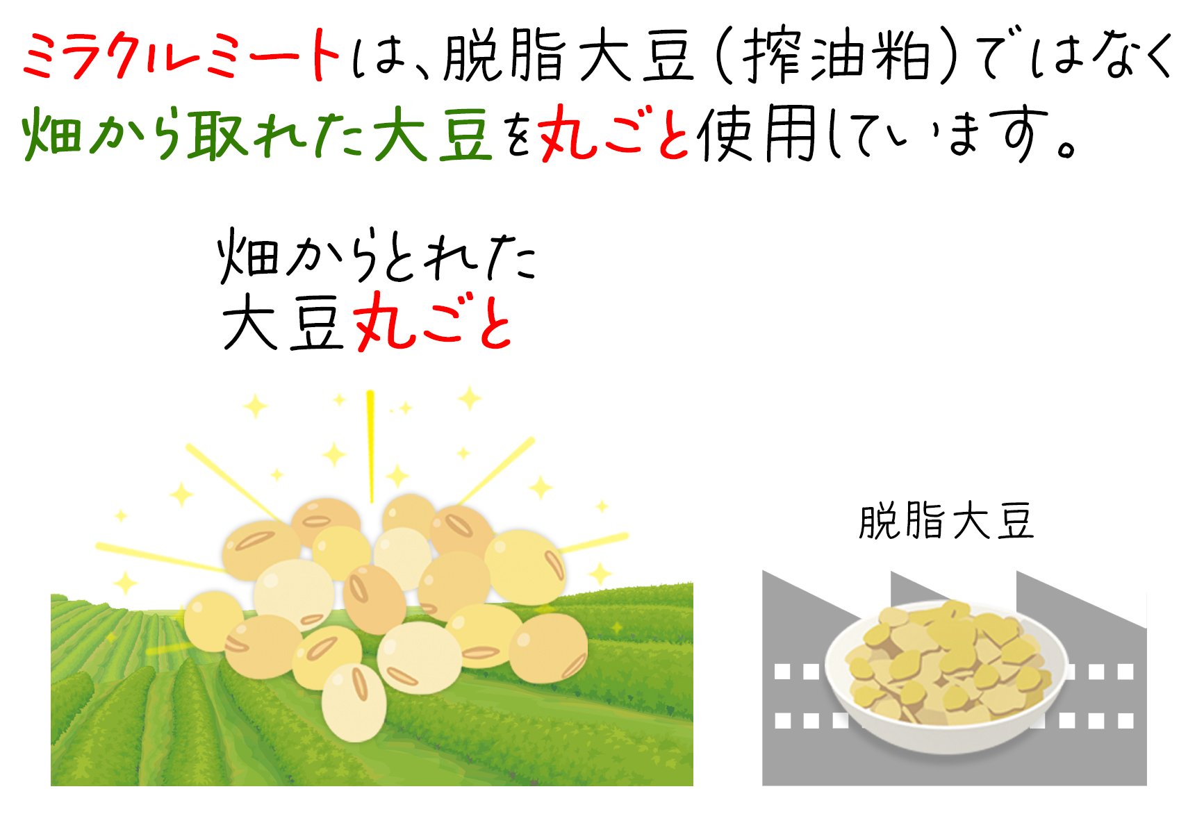 ミラクルミートは、脱脂大豆（探油粕）ではなく畑から取れた大豆を丸ごと使用しています。
